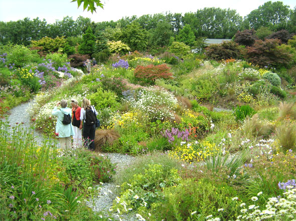 Keith Wiley's Wildside