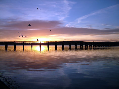 Tay Rail Bridge
