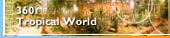 360 view: tropical world
