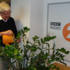 Green fingered Paul wanted to ensure that the Radio 2 plants were well watered in the hot weather.