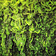 Review of High Places vs. Mankind Review of High Places vs. Mankind