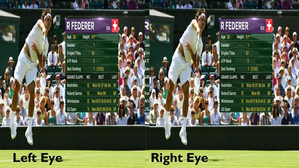Federer side by side 