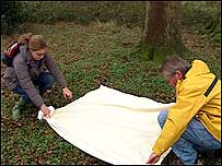 Scientists in forest