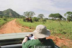 Earthwatch - Elephants of Tsavo expedition (copyright: Guy Stockton)