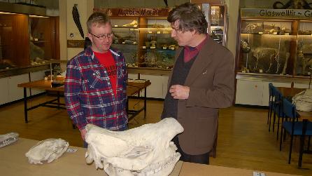 Adam Walton, Prof. Deri Tomos and Bangor University Museum's Rhinoceros Skull