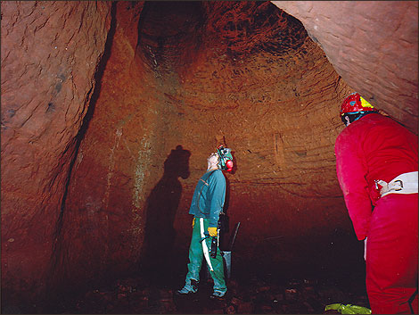 Look up - inside the caverns