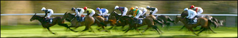 Horse racing at Cheltenham (courtesy of Getty)