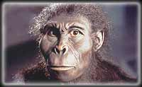 Reconstruction of Flat-faced Man by Wolfgang Schnaubelt