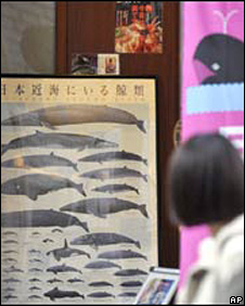 Whale restaurant