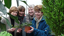 Rae Mcnab, Val Donnelly, Margaret Archibald and Coralin Pearson