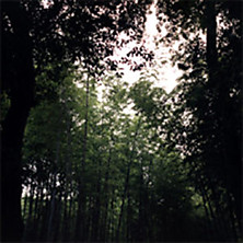 Review of Smile And The World Smiles With You