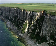 Aerial picture of Bempton Cliffs