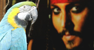 Johnny Depp and a parrot
