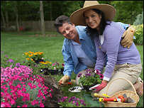Gardening