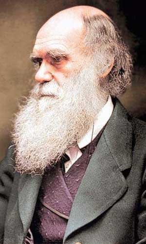 darwin-1.jpg
