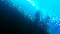 The cage used to dive with great white sharks