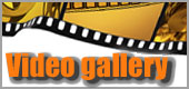 Video gallery