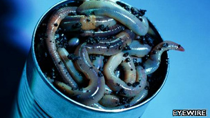 A can of worms