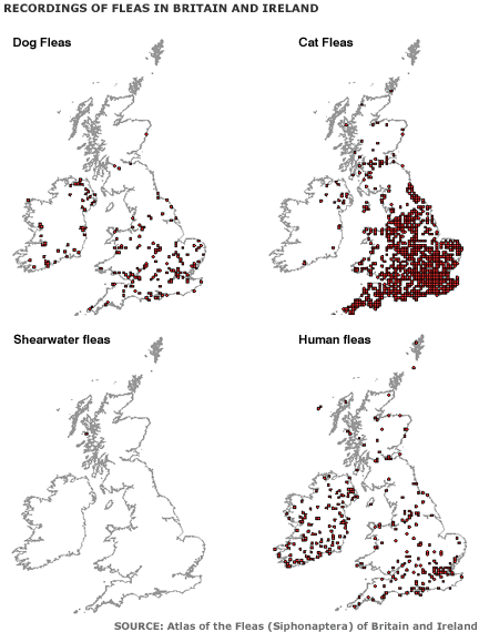 Map showing recordings of fleas in Britain and Ireland