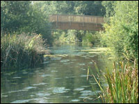 Bridge over the Loddon