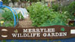 Our allotment