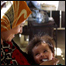 ماشوم ته پخپل وخت خواړه