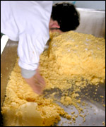 Cheese-making at Smart's Farm in Churcham