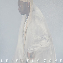 Review of Fly Zone Review of Fly Zone
