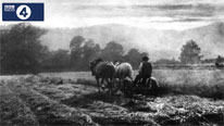 horse-drawn farming