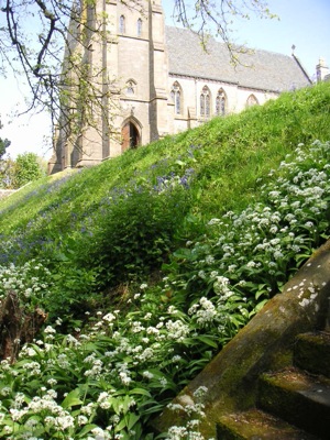 In early summer the cathedral grounds are strewn with flowering garlic—yes, garlic!