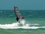 Windsurfer