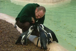 penguin-keeper1.jpg