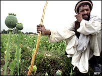 افیون