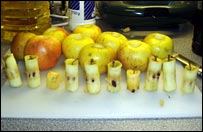 10apples.jpg