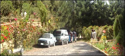 باغ سرکاری 