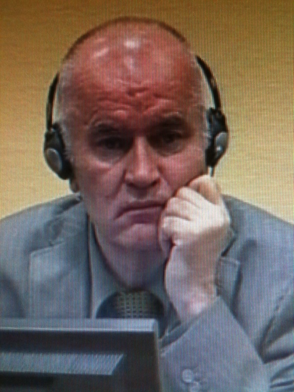 mladic in court
