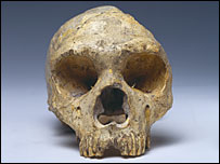 Crânio do homem de Neandertal