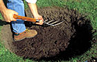 Planting hole for tree