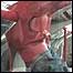 Botas