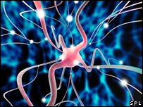 Atividade cerebral