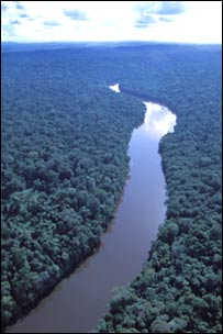 Ảnh chụp một con sông ở Amazon