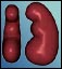 A pair of kidneys