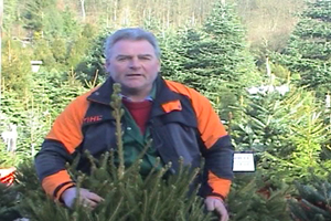  Colin's just won a national competition to supply this years festive tree to Downing Street. 