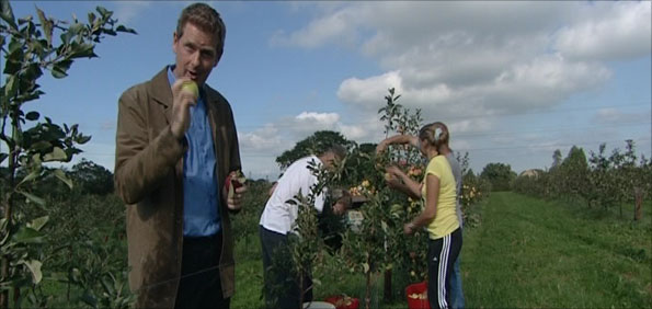 Dave Harvey amongst the experimental cider trees at Thatchers, Sandford, North Somerset