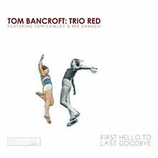 Review of First Hello to Last Goodbye