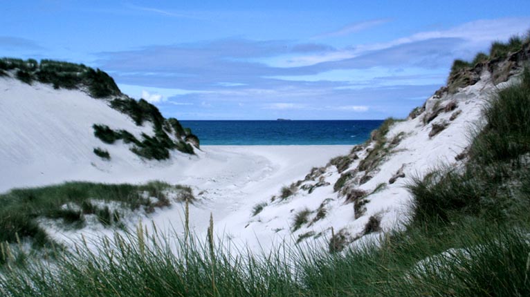 Dùin, Beàrnaraigh na Hearadh