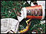 Litter on the ground