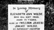 Bedd Jimmy Wilde yn y Barri