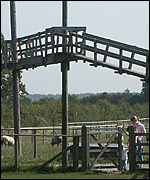 The Golden Goat Bridge