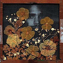 Review of Fear Of A Black Tangent Review of Fear Of A Black Tangent